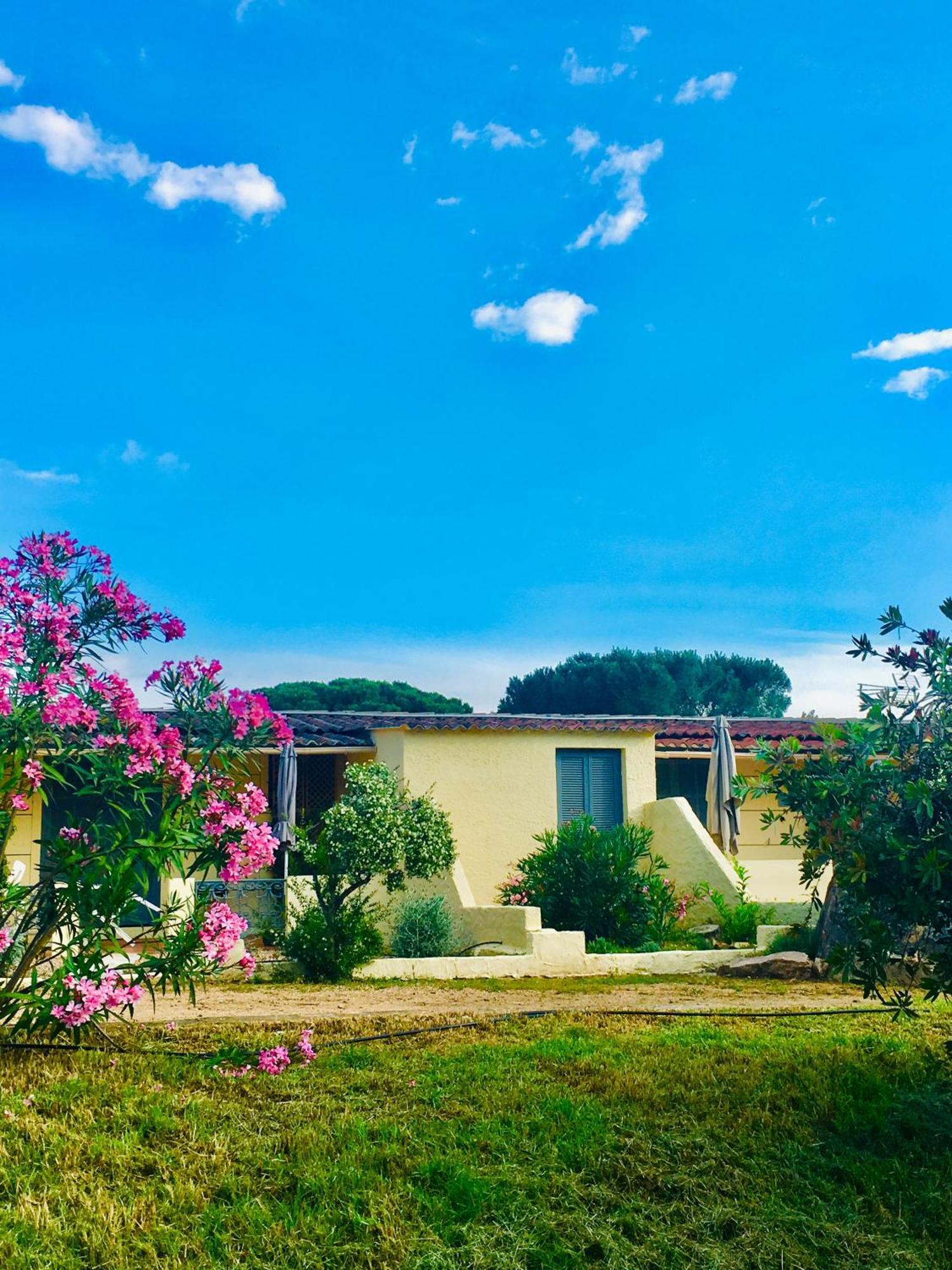 Bungalows Filippi Порто-Веккьо Экстерьер фото